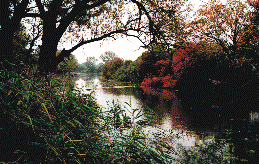 Przykłady środowiska naturalnego w sąsiedztwie rzeki Odry